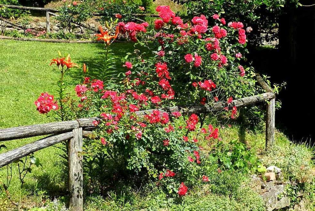 B&B Il Casale Delle Pianacce Castiglione di Garfagnana Exterior foto