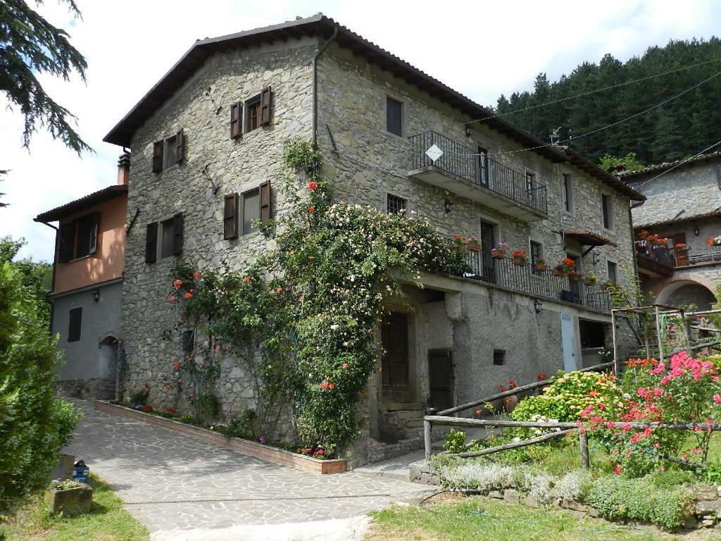 B&B Il Casale Delle Pianacce Castiglione di Garfagnana Exterior foto